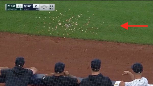 Yankees players throwing gum onto the field
