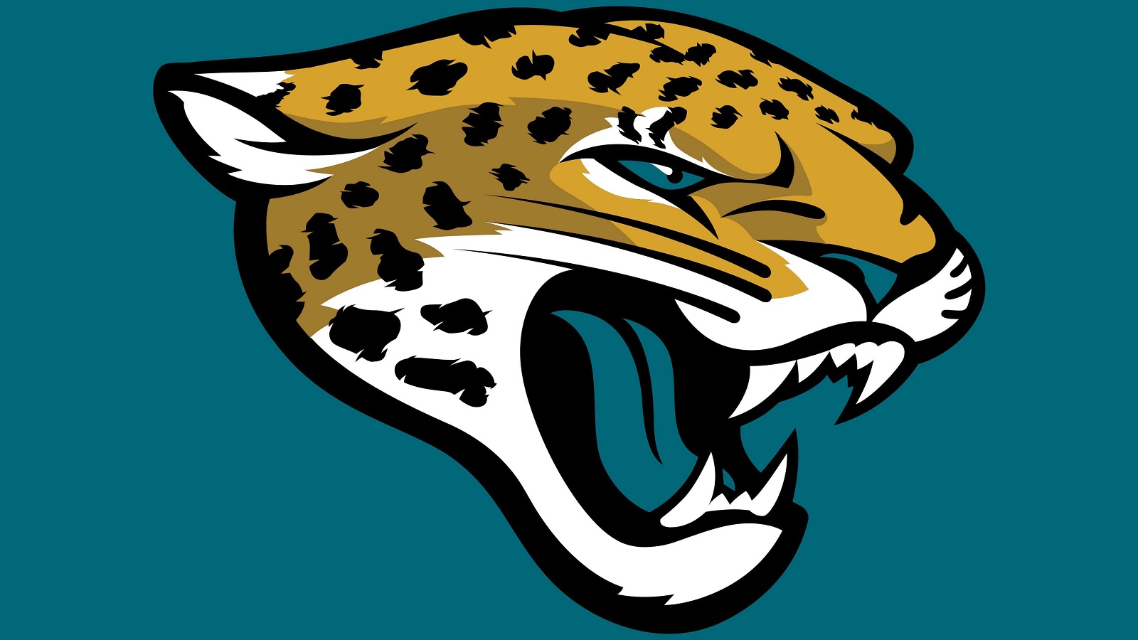 Jaguars cut kicker who hit ex-NFL head coach with shanked attempt