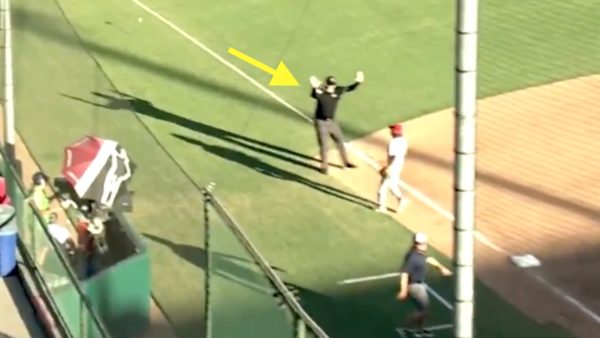 An umpire makes a controversial foul ball call