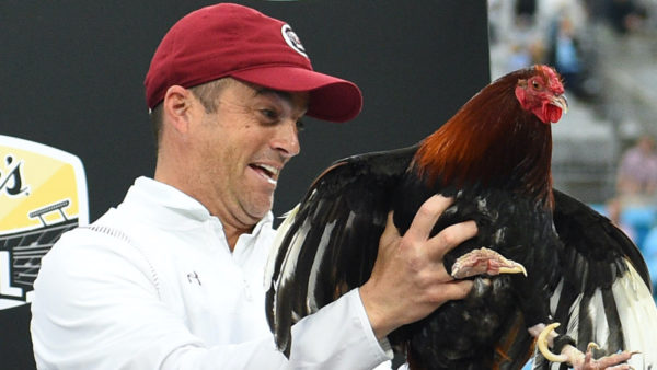 Shane Beamer holds a rooster