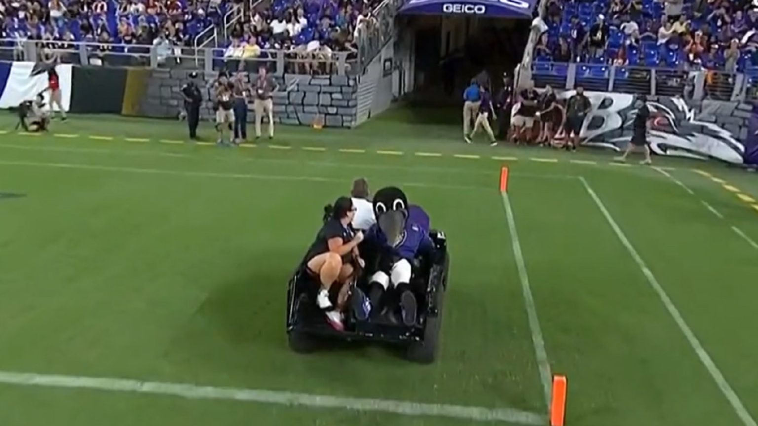 video-ravens-mascot-suffers-knee-injury-during-halftime-show