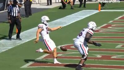 Arizona punts the ball