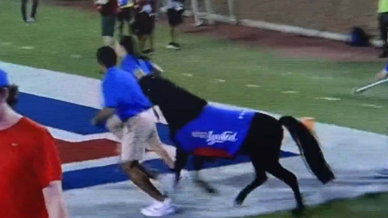 Video SMU game delayed after horse poops on field