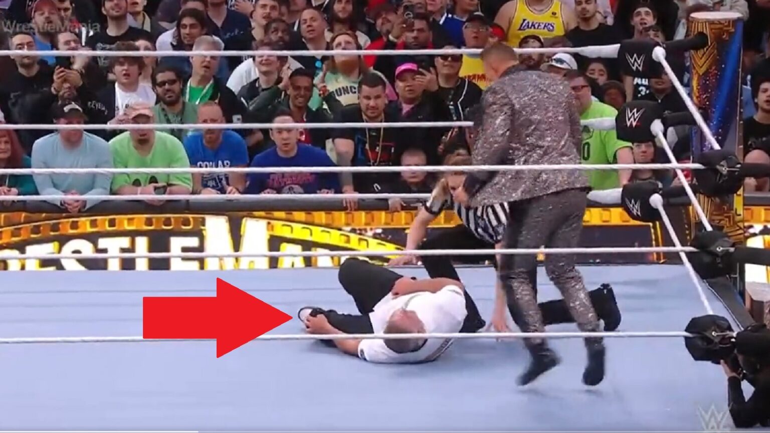 Shane McMahon suffers leg injury at WrestleMania