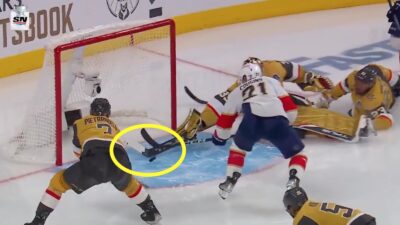 Adin Hill makes an amazing save