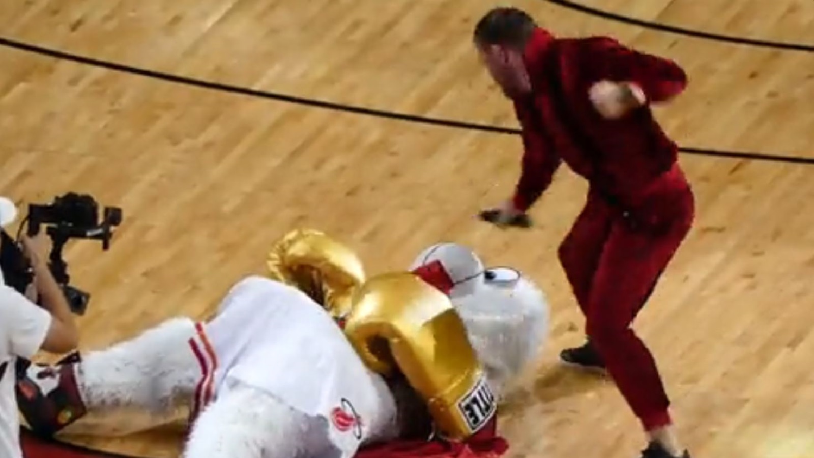 Video: Conor McGregor hit Heat mascot with savage punch during bit at game