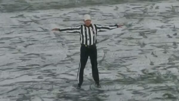 A football official standing in the snow