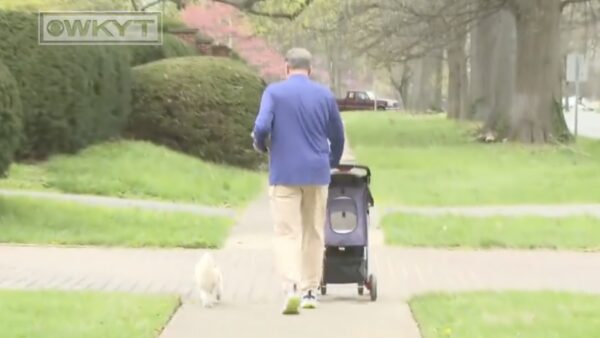 John Calipari walking his dog