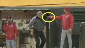 Cardinals manager Oliver Marmol got physical with Oakland A's security guard