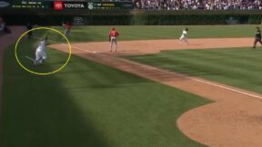 The Chicago Cubs third base coach sending a runner