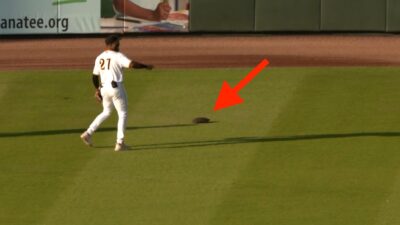 turtle delays minor league game