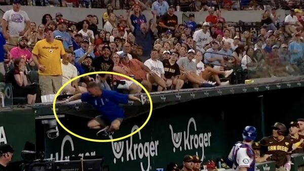 A fan falls into a net trying to catch a foul ball