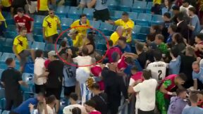 Uruguay players fighting in the stands with Colombia fans