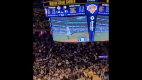 Knicks fans watching a replay of Yankees star Giancarlo Stanton's home run