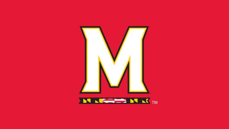 Maryland Terrapins logo
