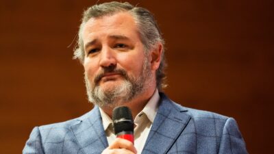 Ted Cruz addresses a crowd