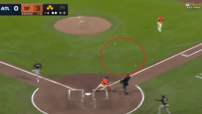 Fan throws balls onto field