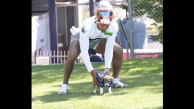 Stefon Diggs chases down a puppy