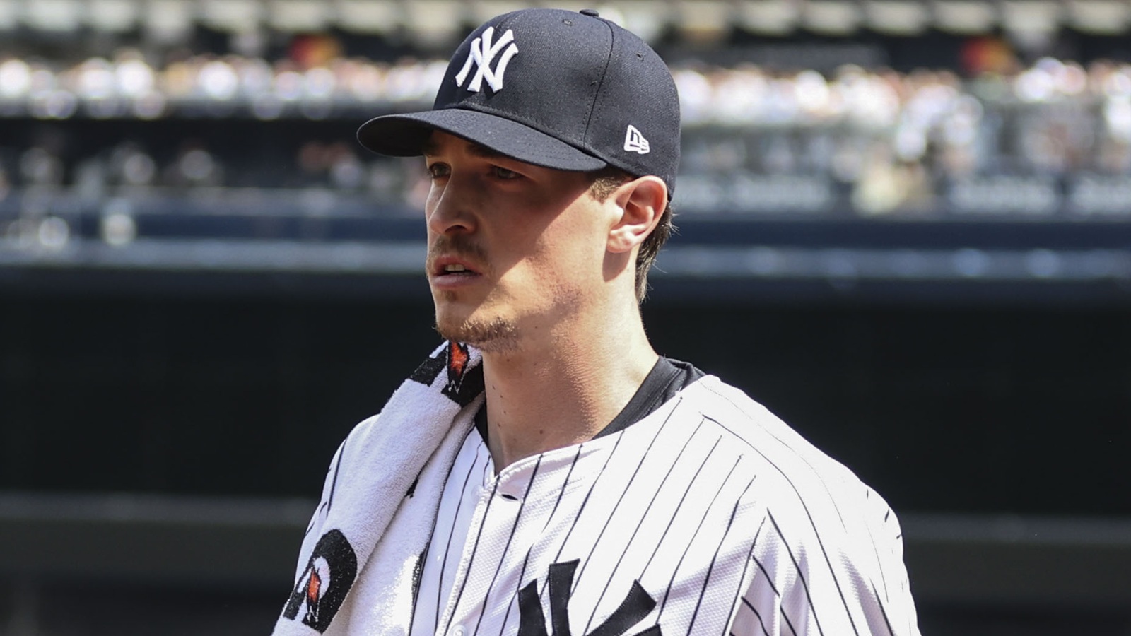 Max Fried warming up for the Yankees
