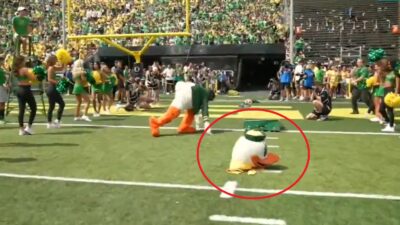 The Oregon Duck losing his head
