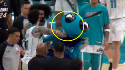 LaMelo Ball punching the Hornets mascot