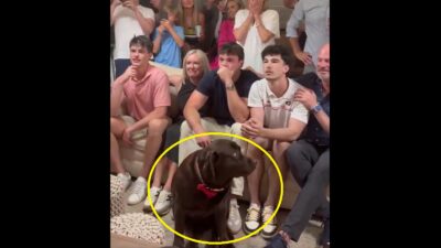 Oscar Delp's dog looking on