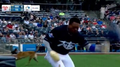 Kendall George bat dog injury