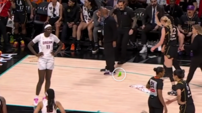 Fans throw dildo on WNBA court