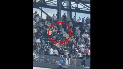 Fans fight during a White Sox game