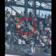 Fans fight during a White Sox game