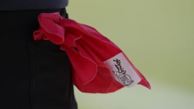 NFL coach's challenge flag