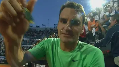 Roger Federer hair