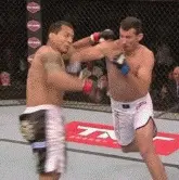 Anthony Perosh knockout