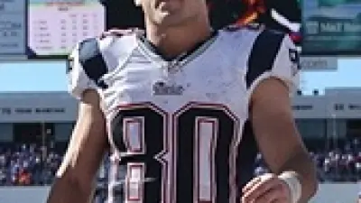 Danny Amendola Patriots