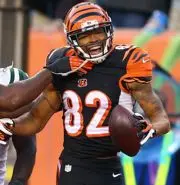 Marvin Jones Bengals