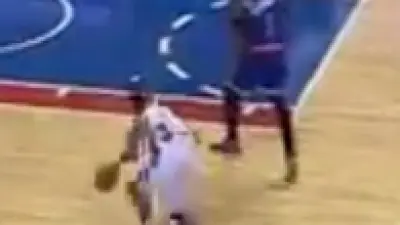 Amar'e Stoudemire defense