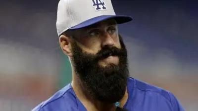 Brian Wilson beard