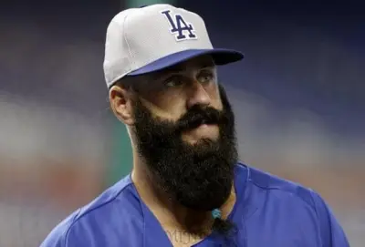 Brian Wilson beard