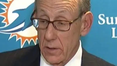 Stephen Ross Dolphins