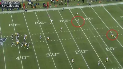 Troy Polamalu Patriots touchdown