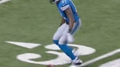 Calvin Johnson drops