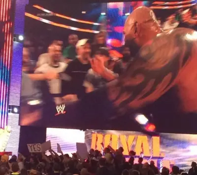 Batista flips fan bird