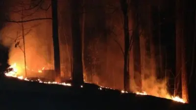 Chipper Jones forest fire