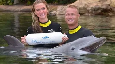 Alex Cobb girlfriend Dolphin proposal