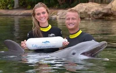 Alex Cobb girlfriend Dolphin proposal