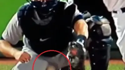 Alex Avila nut shot