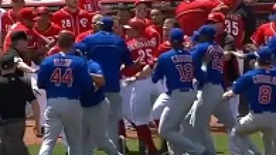 Cubs Reds fight