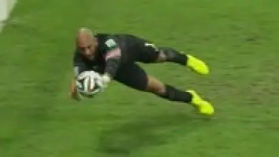 Tim Howard dive