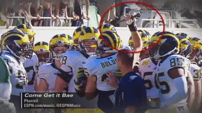 Michigan stake