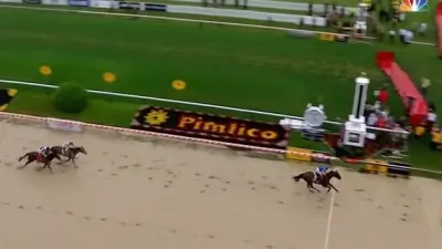 American Pharoah Preakness